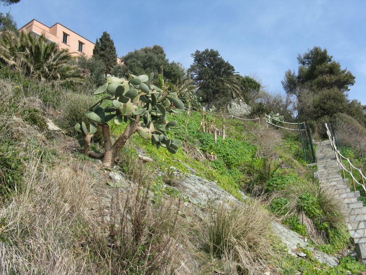 Ferienwohnung Casa Delle Mimose Varraze Exterior foto